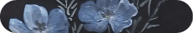 Image posted by the member