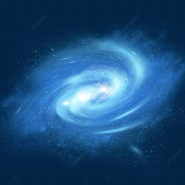 Image posted by the member