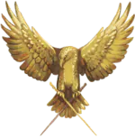 Image posted by the member