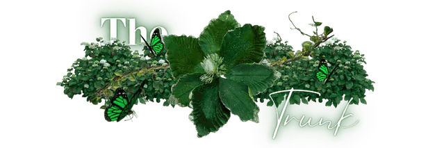 Image posted by the member
