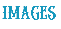 Image posted by the member