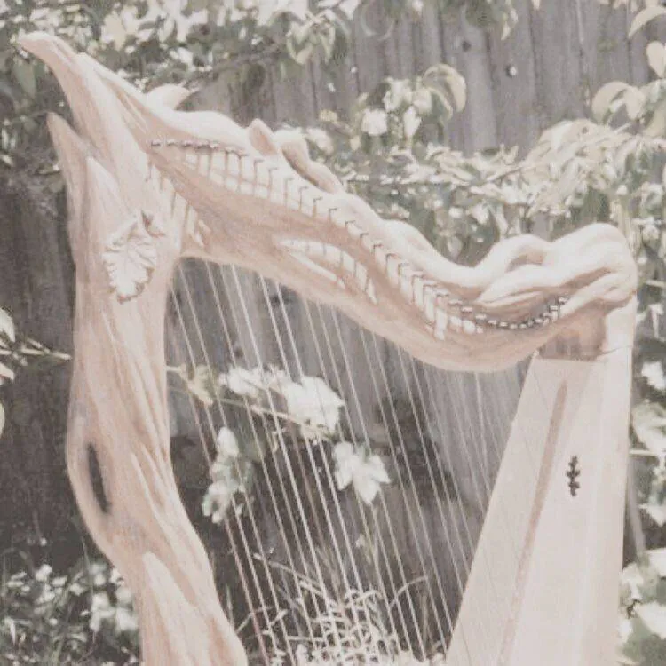 Image posted by the member