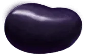 Image posted by the member