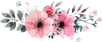 Image posted by the member