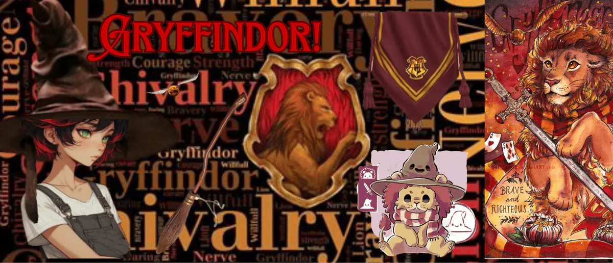 Image posted by the member