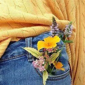Image posted by the member