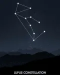 Image posted by the member