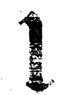 Image posted by the member