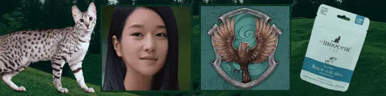 Image posted by the member