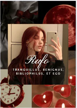 Image posted by the member