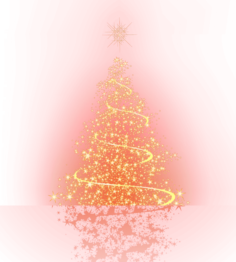 Image posted by the member
