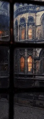 Image posted by the member