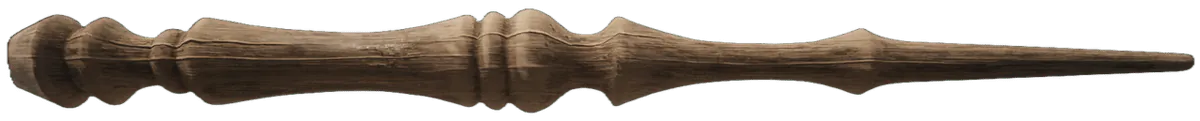 Image posted by the member