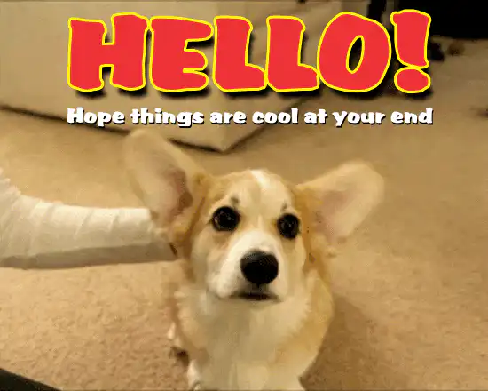 Image posted by the member