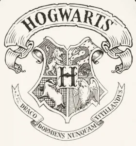 Image posted by the member