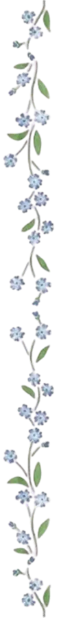 Image posted by the member