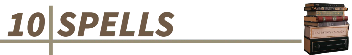 Image posted by the member