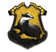 Image posted by the member