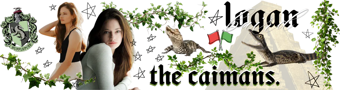 Logan Baird, Caiman Jungle banner