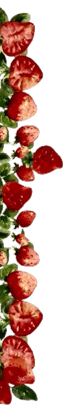Image posted by the member