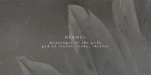 Image posted by the member