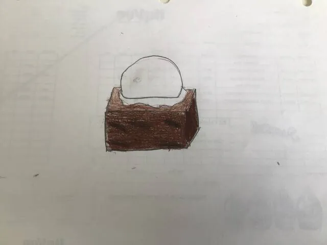 Image posted by the member