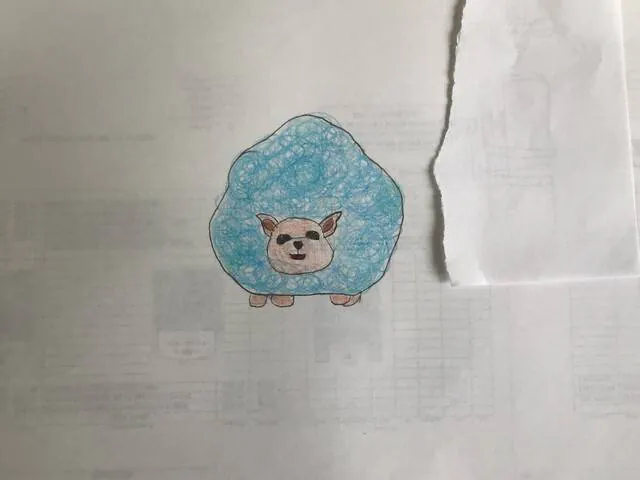 Image posted by the member