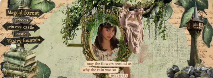 Image posted by the member
