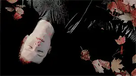 Image posted by the member