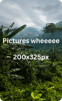 Image posted by the member
