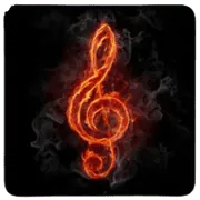 Image posted by the member