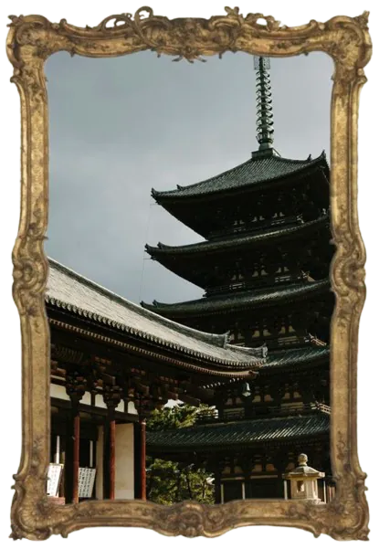 Image posted by the member
