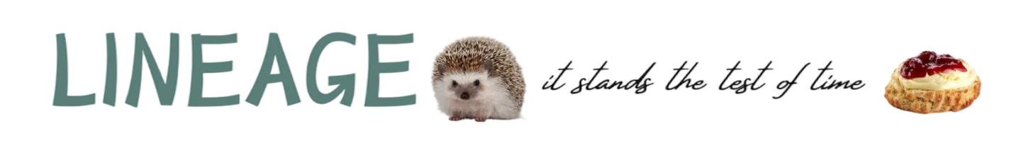 Image posted by the member