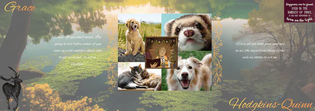Image posted by the member