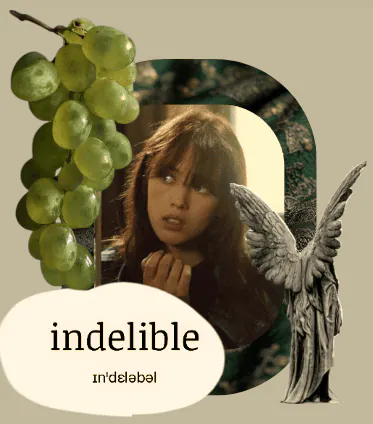 Image posted by the member