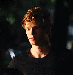 Image posted by the member