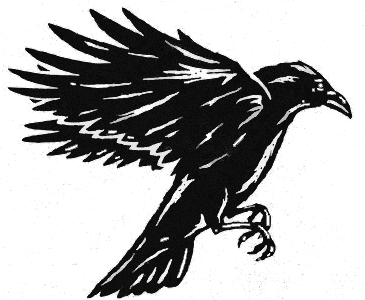 Image posted by the member