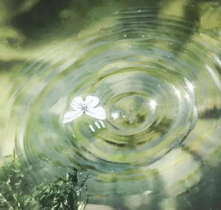Image posted by the member
