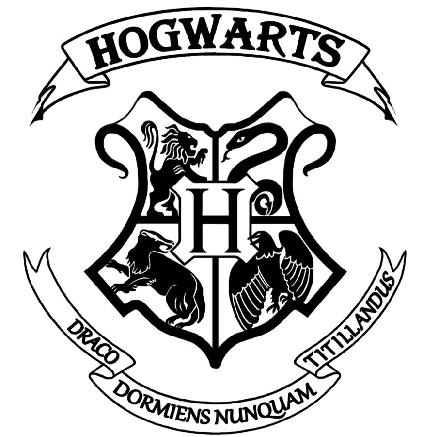Image posted by the member