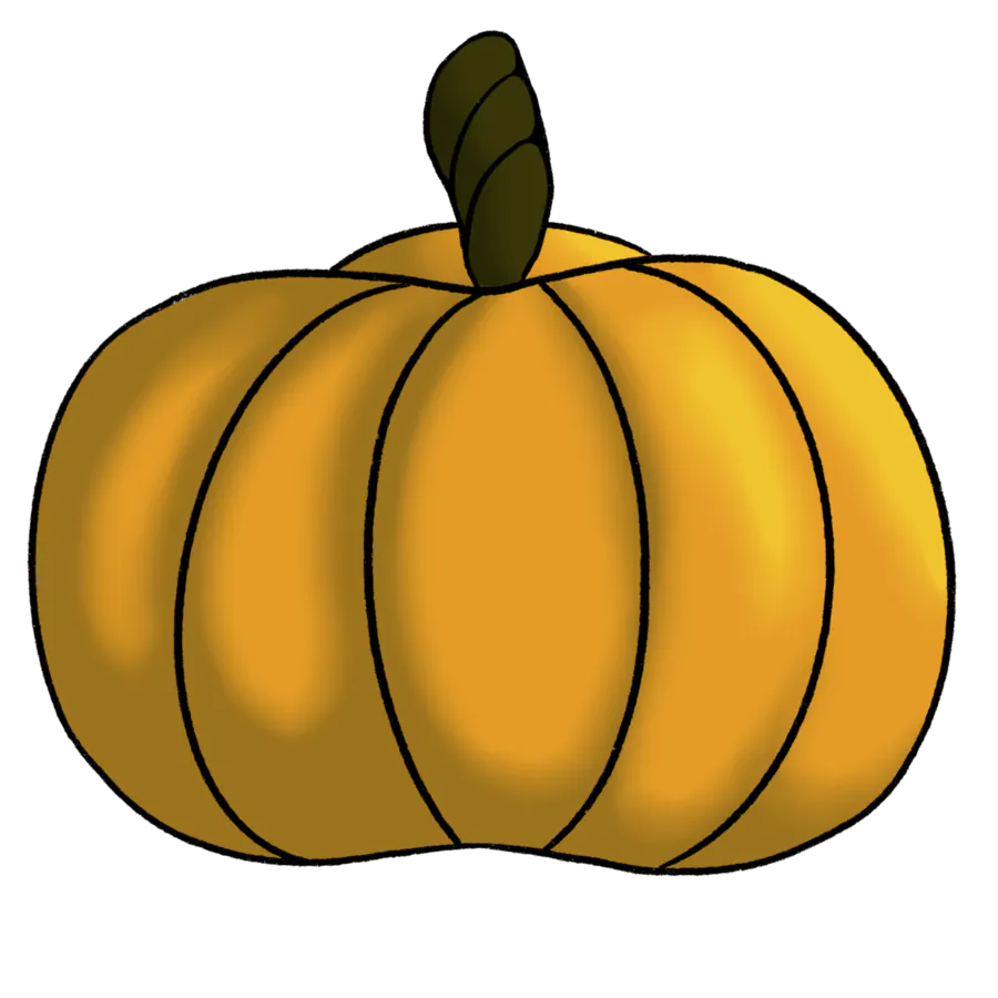 Image posted by the member