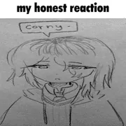 Image posted by the member