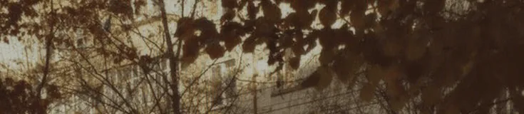 Image posted by the member