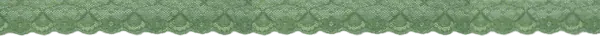 Image posted by the member