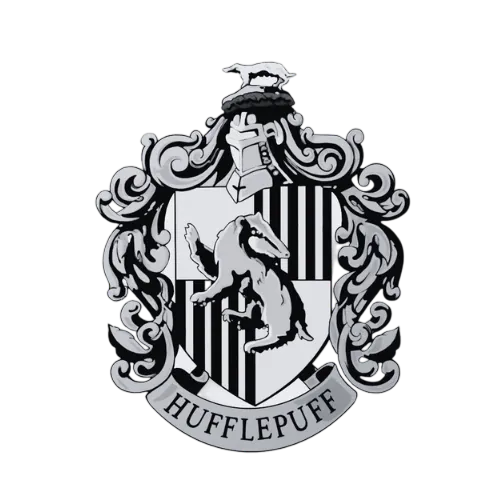 Image posted by the member