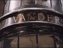 Image posted by the member