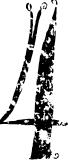 Image posted by the member