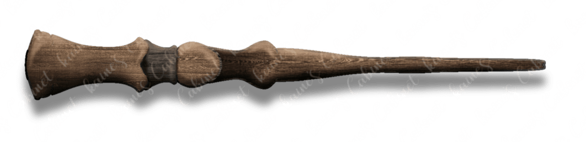 Image posted by the member