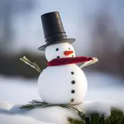 Image posted by the member