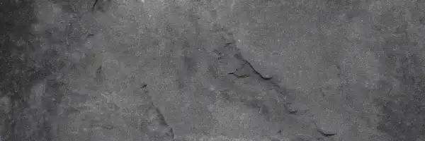Image posted by the member