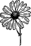 Image posted by the member